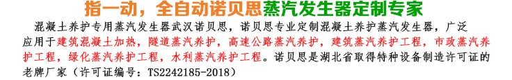 橋梁養(yǎng)護(hù)18kw小型蒸汽發(fā)生器簡(jiǎn)介